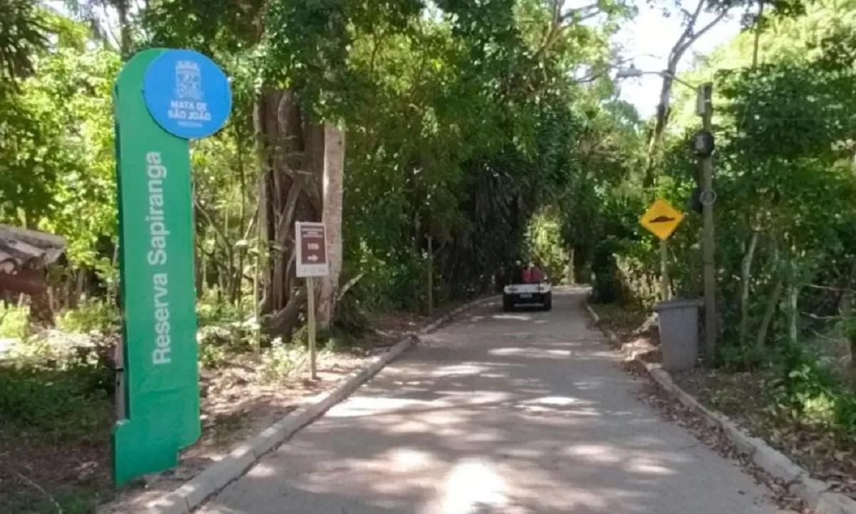 Devastação em reserva ambiental da Praia do Forte é apurada pelo MPF
