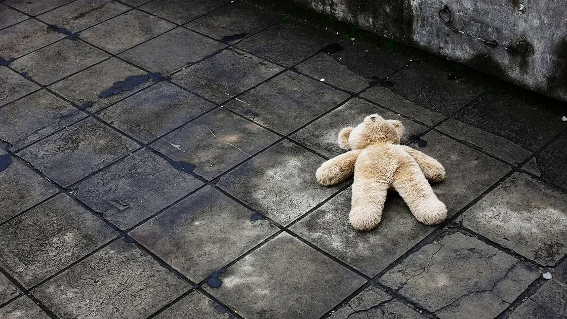 Menino de 3 anos encontrado sozinho em Braga e irmã entregues à Segurança Social