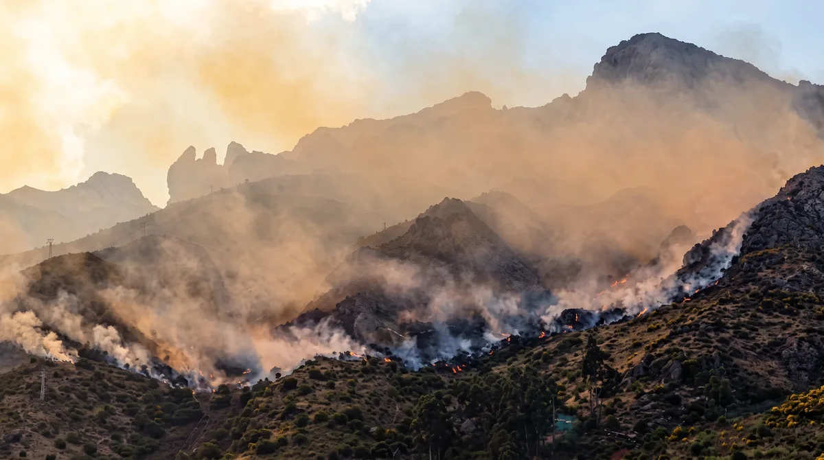 Incendios forestales en Perú: 520 distritos están en riesgo muy alto y estas son las regiones más expuestas