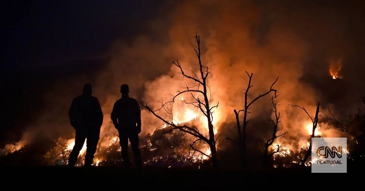 Dois incêndios em Proença-a-Nova já mobilizam mais de 800 bombeiros