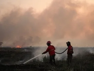 « Nous devons tenir bon » : en Indonésie, 200 000 hectares brûlés, le pire est à venir selon les autorités