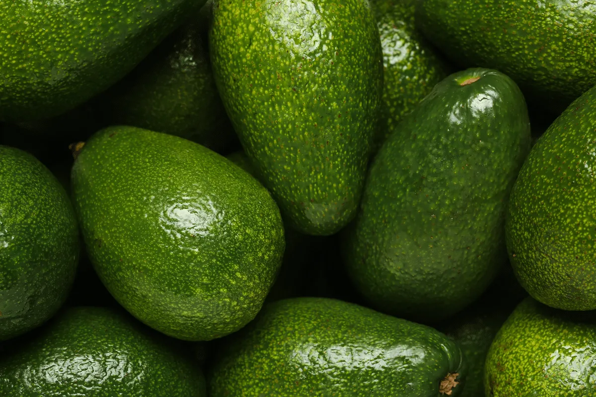 Nem na geladeira, nem na bancada: este é o melhor lugar para guardar o abacate verde
