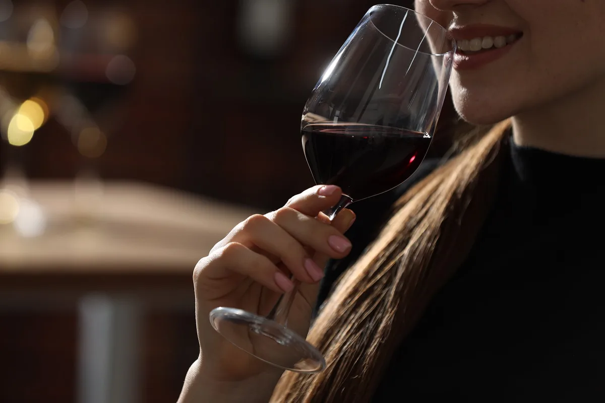 La nueva era del Cabernet Sauvignon: 15 vinos argentinos para explorar su potencial