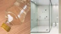Louro com vinagre branco: para que serve essa mistura na limpeza da casa?