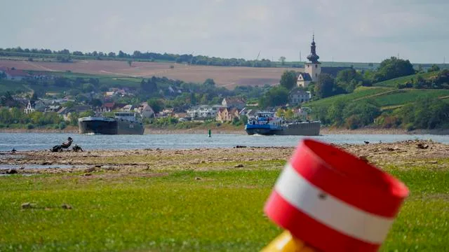 Klimakrise: Hitzesommer verursacht laut Greenpeace 36 Milliarden Euro Schäden
