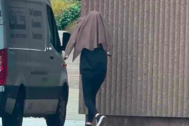 Mum-of-four collapses in court as she's spared jail for sex attack on taxi driver