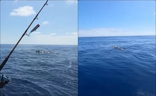 Recuperan torpedo inerte frente a costas del balneario de Ensenada, BC; fue hallado a la deriva por pescadores
