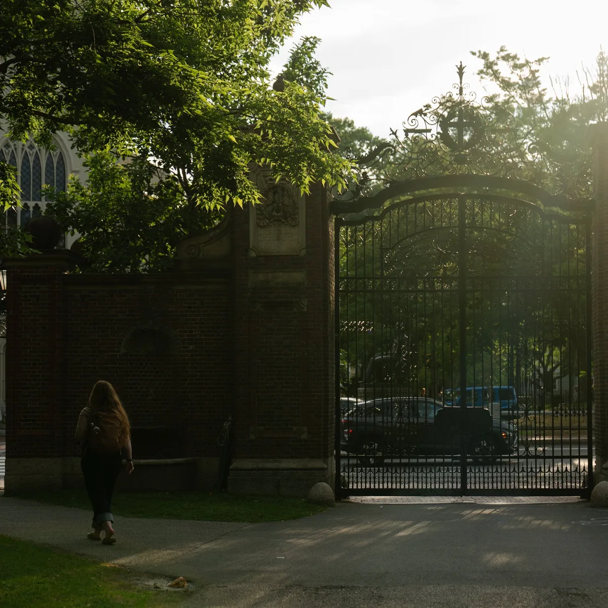 Harvard Endowment Soars to $68 Billion Even as Federal Cuts Force Layoffs