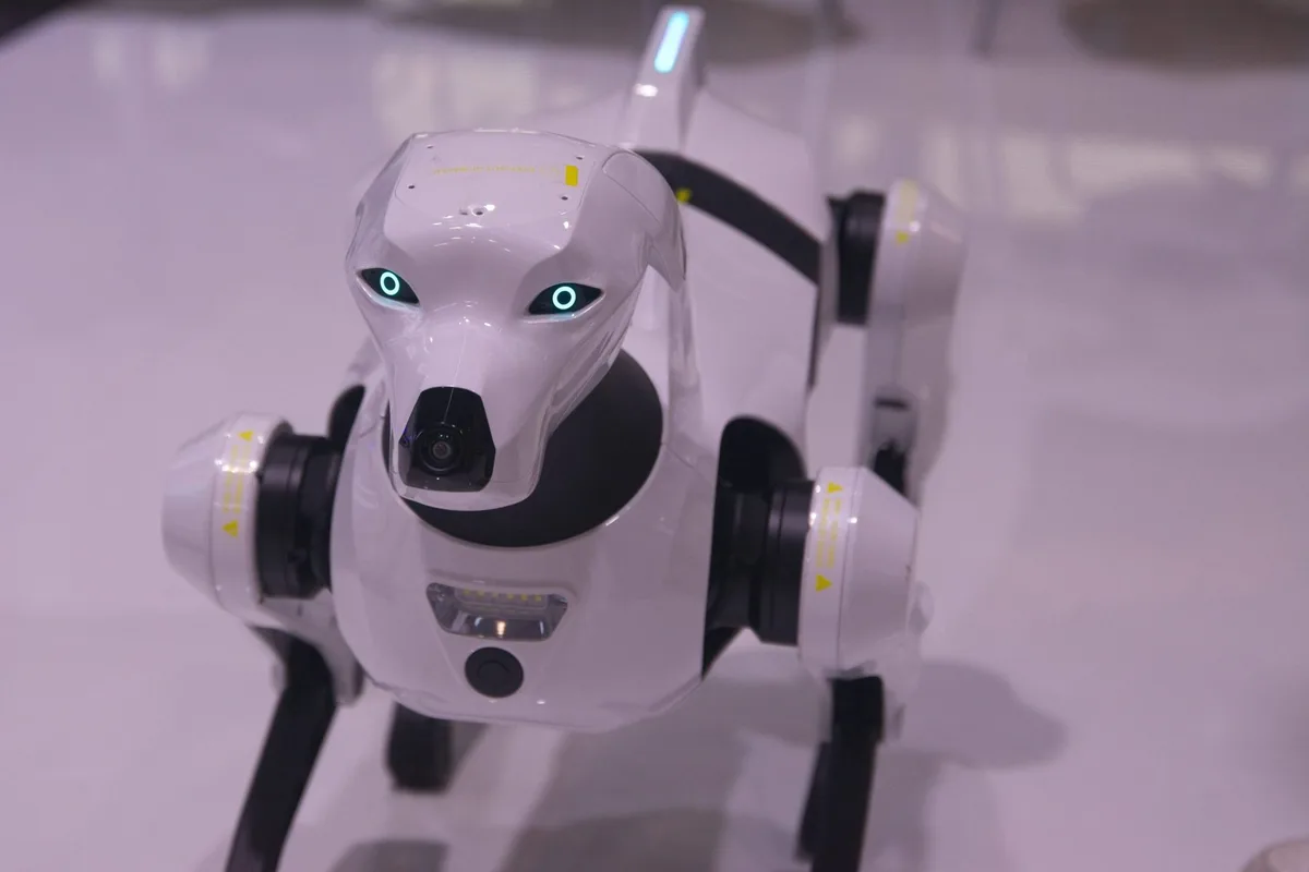 ICE explores purchasing robot dogs in enforcement tech push
