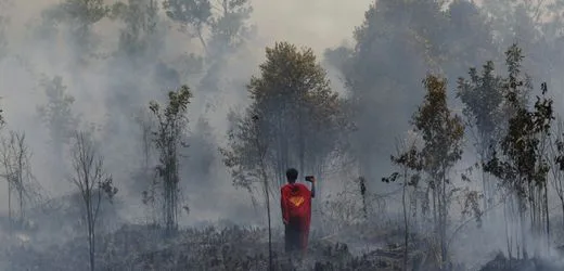 Waldbrände in Indonesien: Wie ein jugendlicher Superman gegen die Flammen kämpft