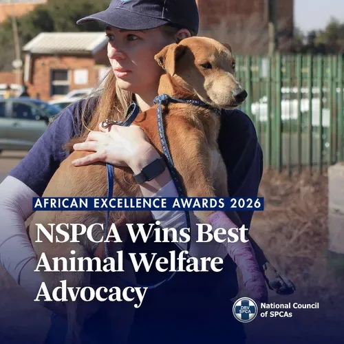 NSPCA celebrates Best Animal Welfare Advocacy Award 2026