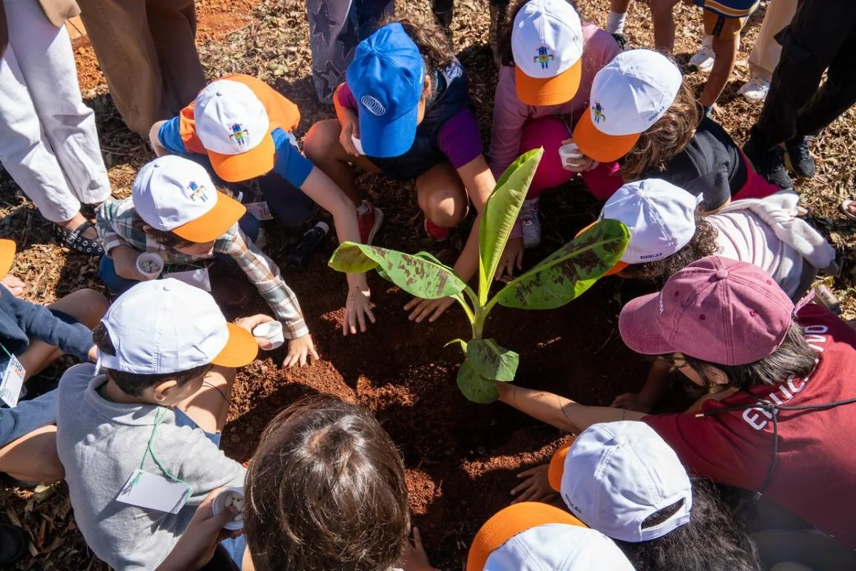 Sustentabilidade não pode ficar só no discurso