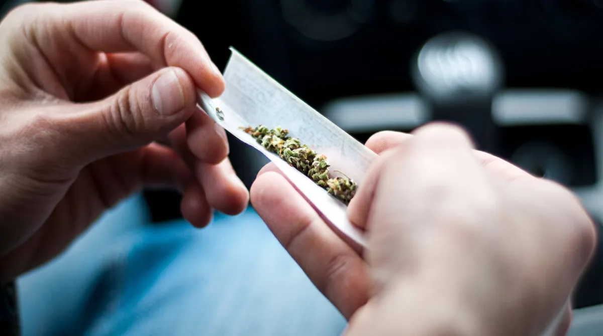 Marihuana y adolescencia: cuáles son sus efectos en el cerebro, la memoria y la conducta, según la ciencia