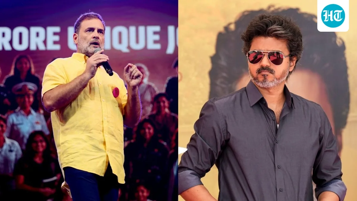 'Rahul Gandhi will make Vijay sit in PM chair in 2029': TVK MLA amid prime minister pitch row over Tamil Nadu CM