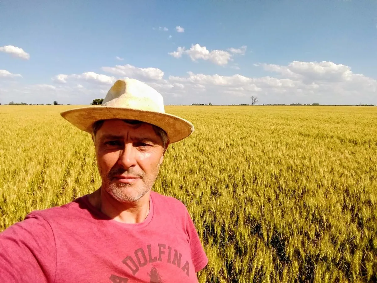 “David contra Goliat”: un productor abrió una batalla judicial porque Milei no eliminó las retenciones y llevó su reclamo hasta la Corte