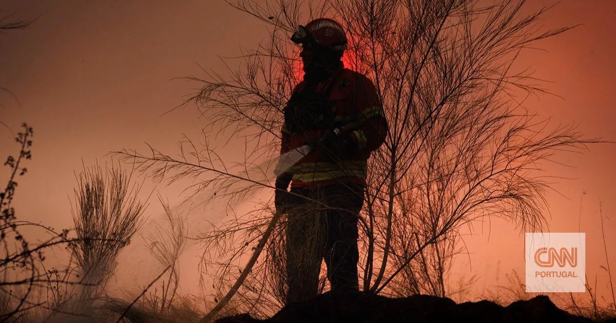 Mais de 750 bombeiros combatem quatro incêndios no norte do país