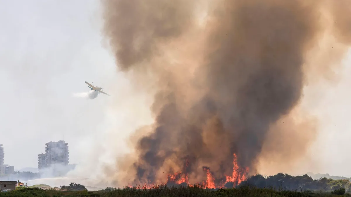 Evacúan el pueblo y los cámpins de El Saler (Valencia) ante el avance del incendio forestal en la Devesa