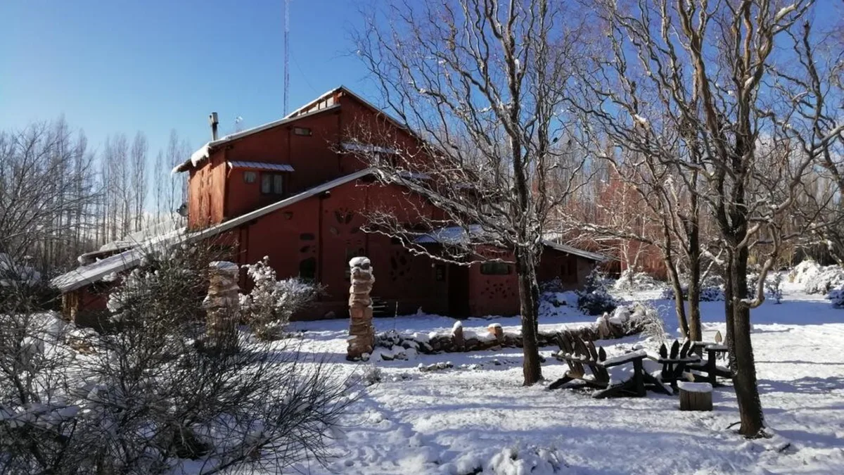 Buscan voluntarios para vivir en una finca de Mendoza: ofrecen hospedaje y comida a cambio de pocas horas de trabajo
