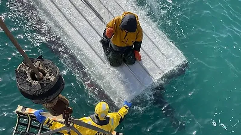 ‘One tough kid’: Boy, 15, found after days clinging to capsized boat in frigid water off Alaska