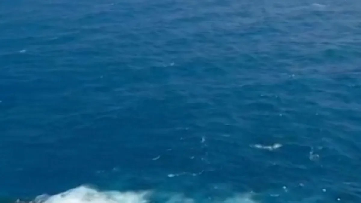 Indonesia ferry disaster: Rescue teams search for 140 missing passengers