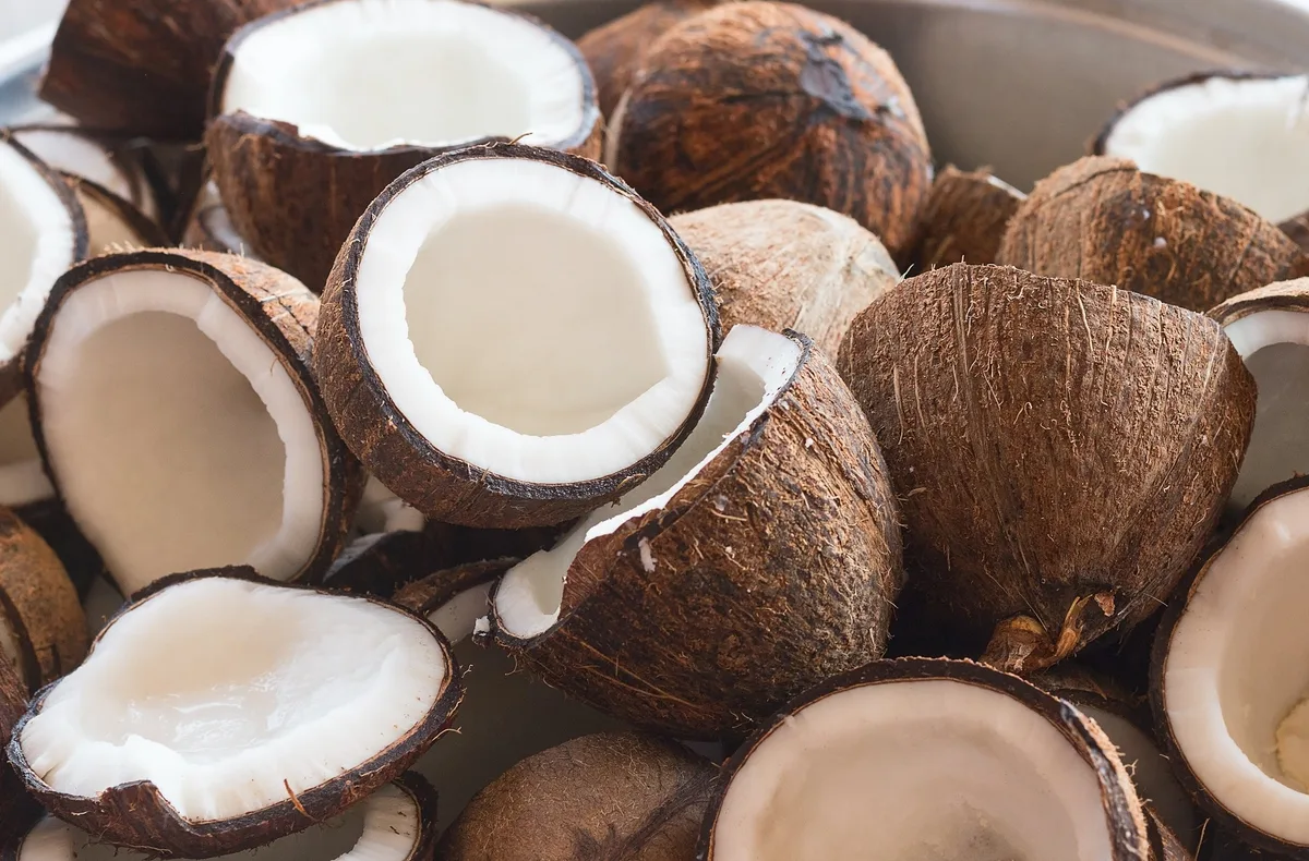 El coco dominicano gana terreno en el mercado de Estados Unidos y proyecta récord de exportaciones