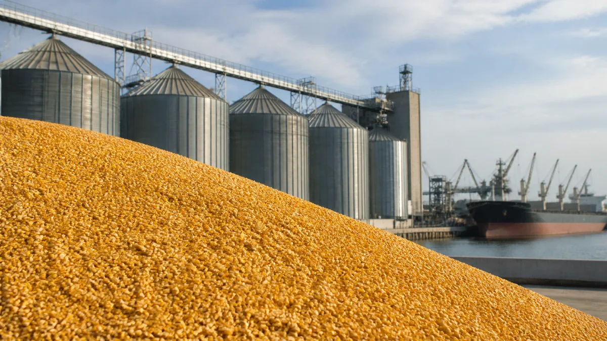 USDA registra venda de 1,43 milhão de toneladas de soja e 205 mil toneladas de milho
