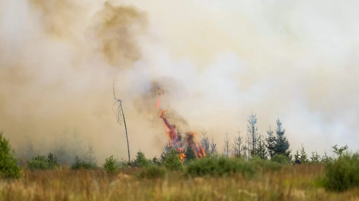 Waldbrände: Angst vor der Feuerfront in der Eifel