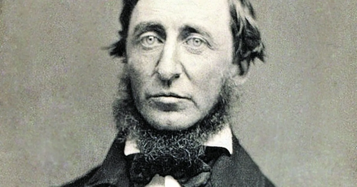 Henry David Thoreau, filósofo: “La felicidad es como una mariposa. Cuanto más la perseguís, más te evitará. Pero si llevás la atención a otras cosas, vendrá y se posará en tu hombro”