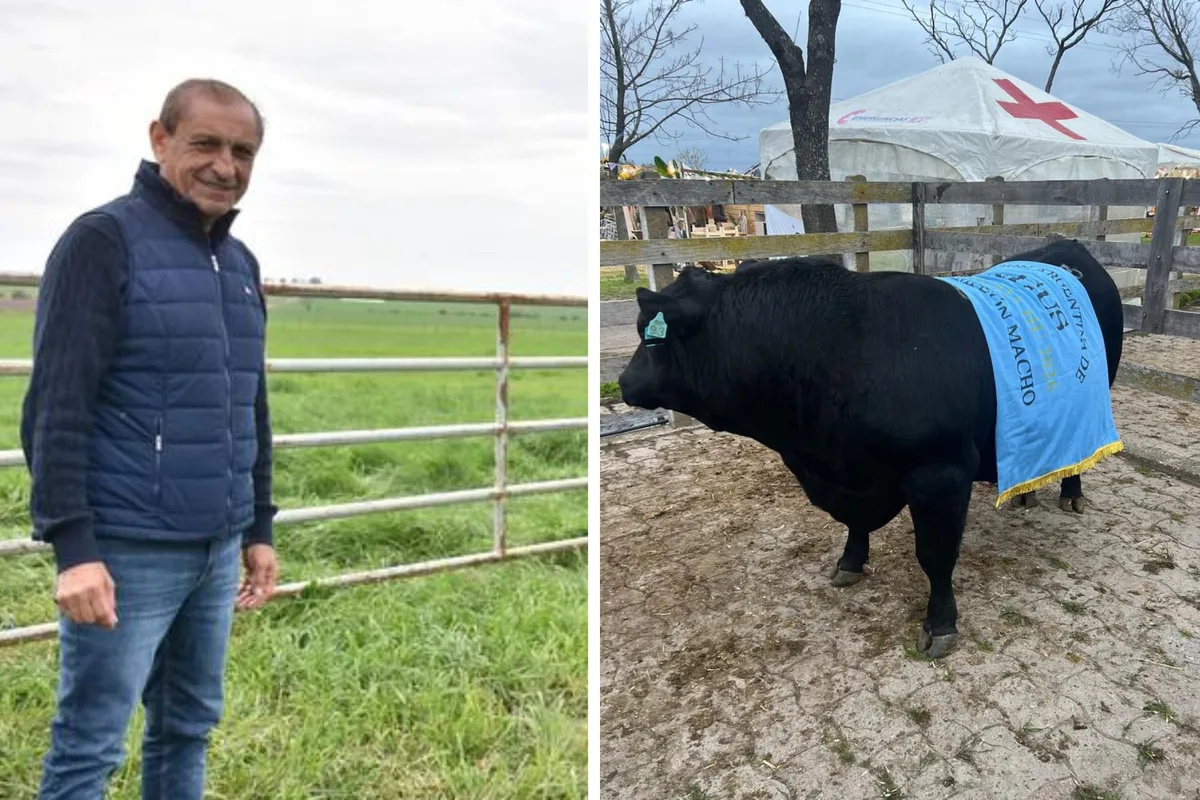 Ramón Díaz, dueño de Los Ramones, logró su primer Gran Campeón Macho Angus: “Es una coronación hermosa”