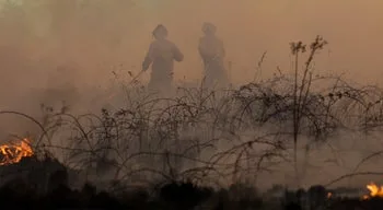 Incêndio de Arganil em resolução com mais de 500 operacionais ainda no terreno