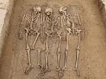 Ancient DNA exposes a hidden chapter in the fall of the Roman Empire