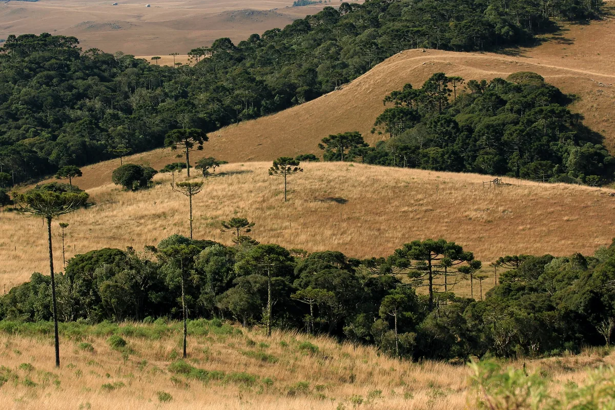 Novo veranico começa hoje e temperaturas podem ultrapassar os 40°C