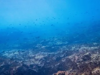 Cet été 2026, les températures de la mer battent tous les records