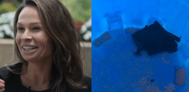 Médica acorda com morcego na boca e alerta sobre os riscos da raiva