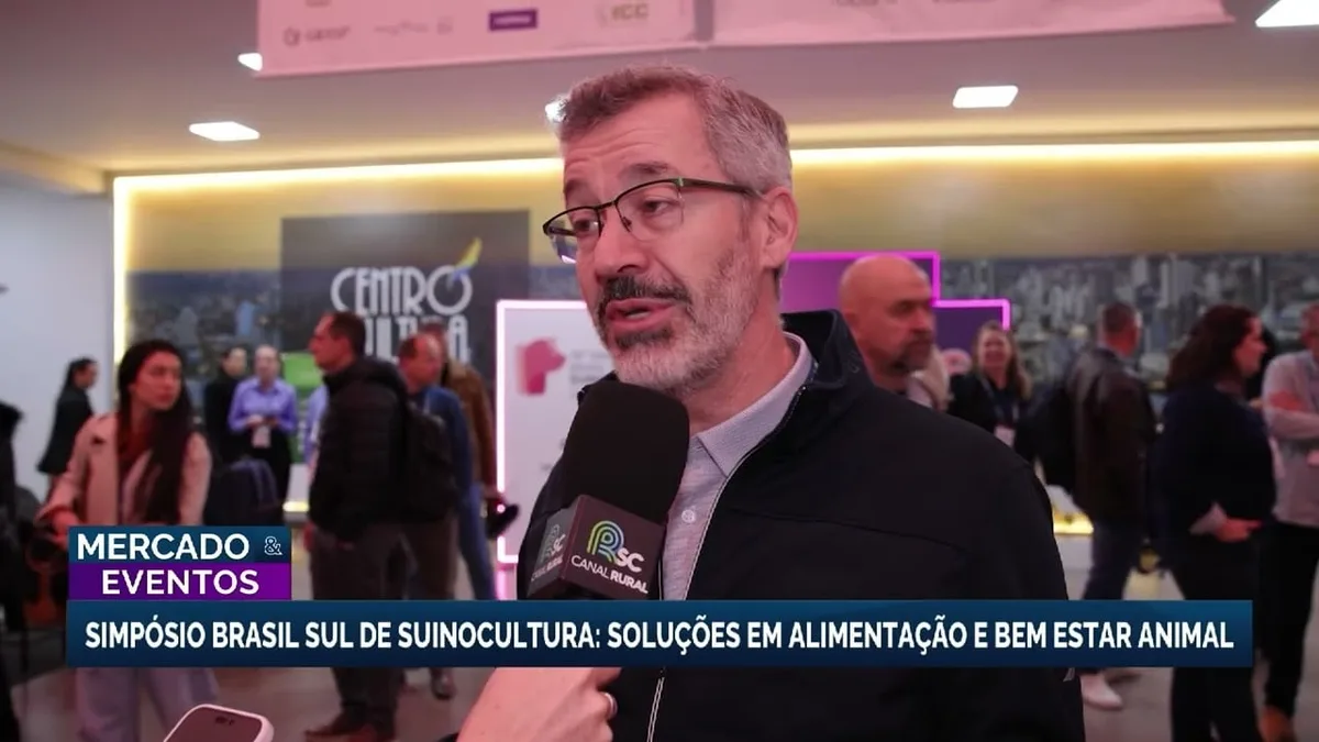 Nova tecnologia melhora nutrição e bem-estar dos suínos no Brasil