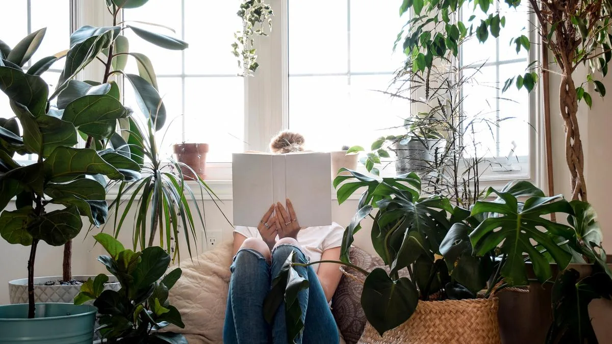 Creating the ultimate reading nook