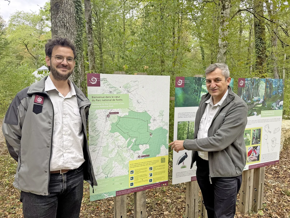 Au parc national de forêts, on cultive les remèdes anti-incendies : "Nous tentons de sauver le monde à notre échelle"