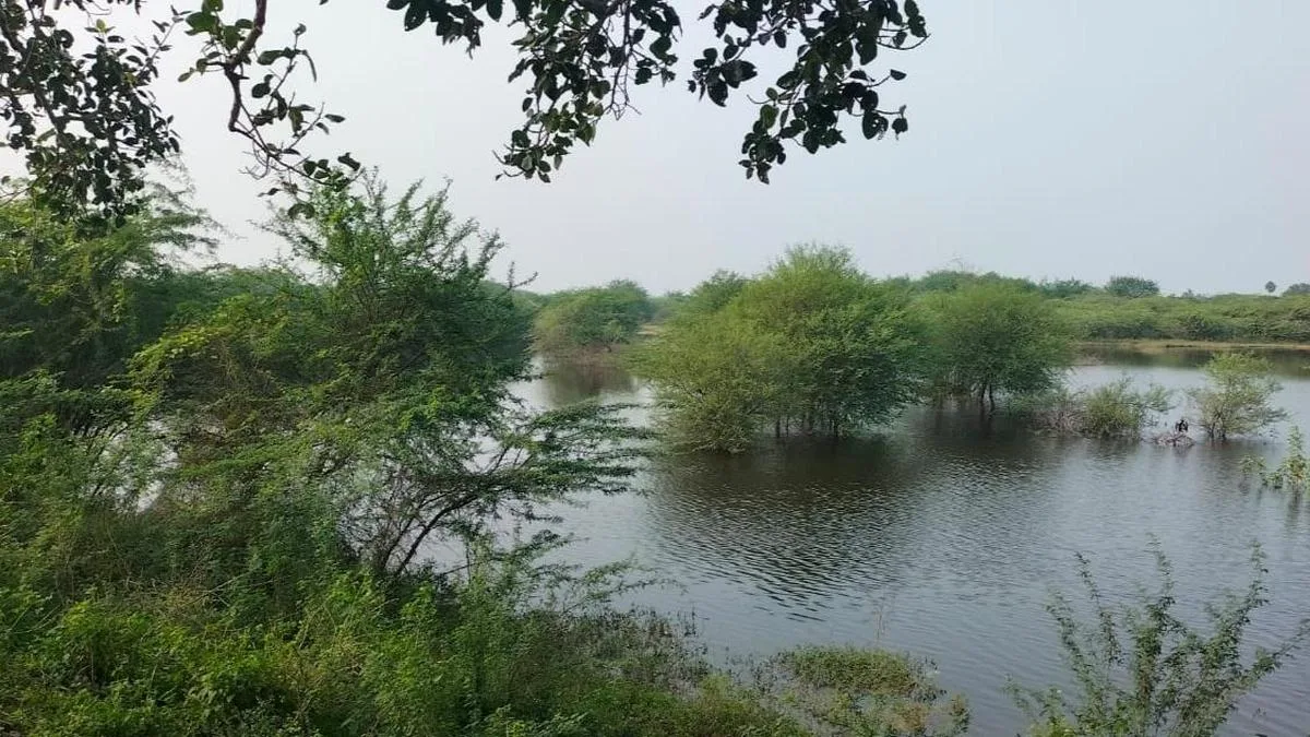 Four children drown in Periya Eri in Chromepet