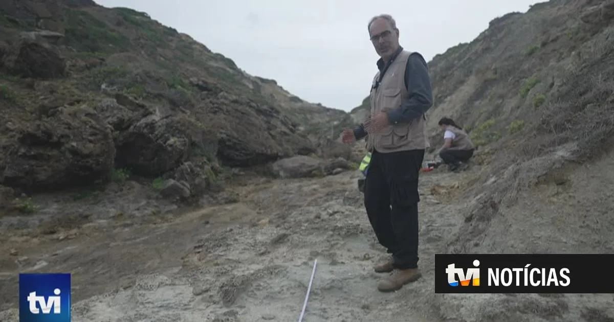 Descobertas várias vértebras de um dinossauro gigante na zona do Cabo Espichel