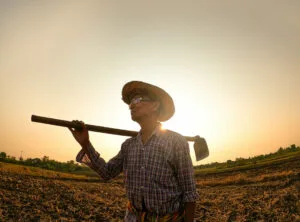 Trabalhador rural autônomo não perde condição de segurado especial