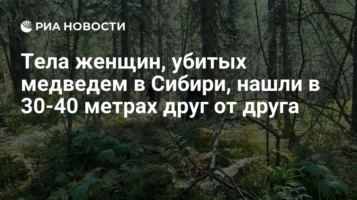Тела женщин, убитых медведем в Сибири, нашли в 30-40 метрах друг от друга