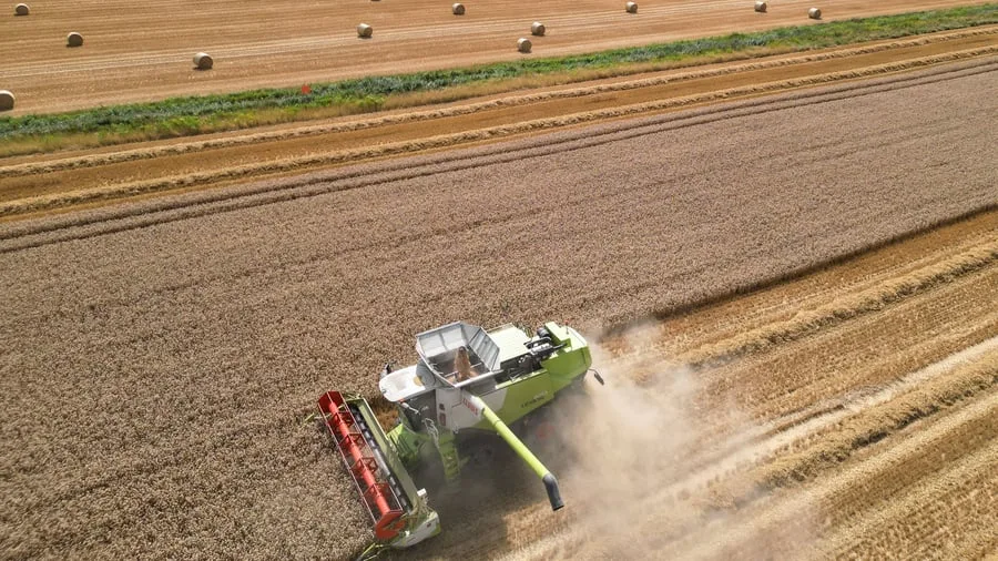 Landwirtschaft: Bauernverband zieht ernüchternde Erntebilanz