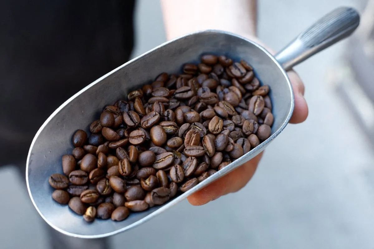 Café arábica atinge máxima de três semanas devido a preocupações com oferta