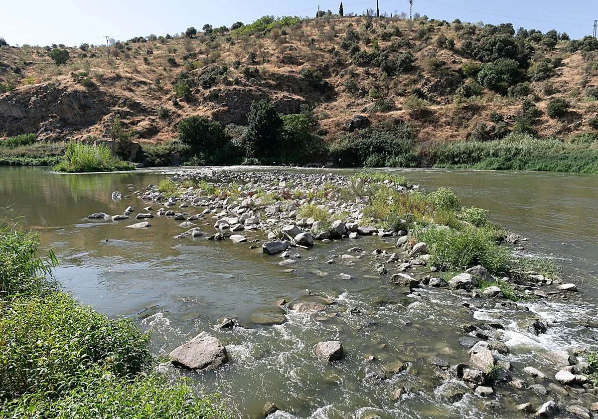 El día después de autorizar el trasvase, el Tajo incumplía en Toledo su caudal mínimo
