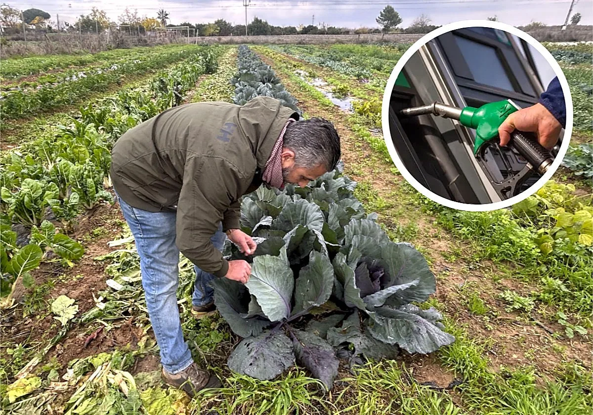 Jesús Fernando, agricultor de Valladolid: «Cada hectárea me cuesta unos 14.000 euros. Da miedo hasta llenar el depósito del tractor»