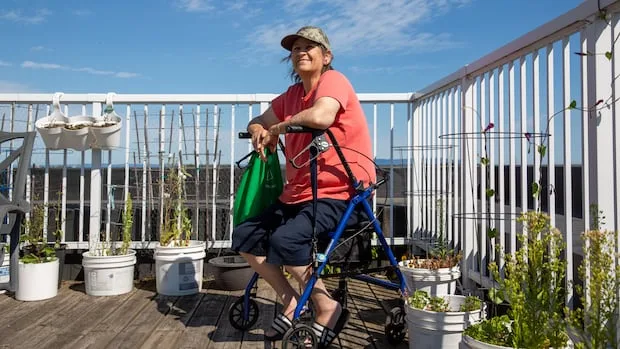 Thunder Bay, Ont., health unit takes owner of seniors' apartment to court