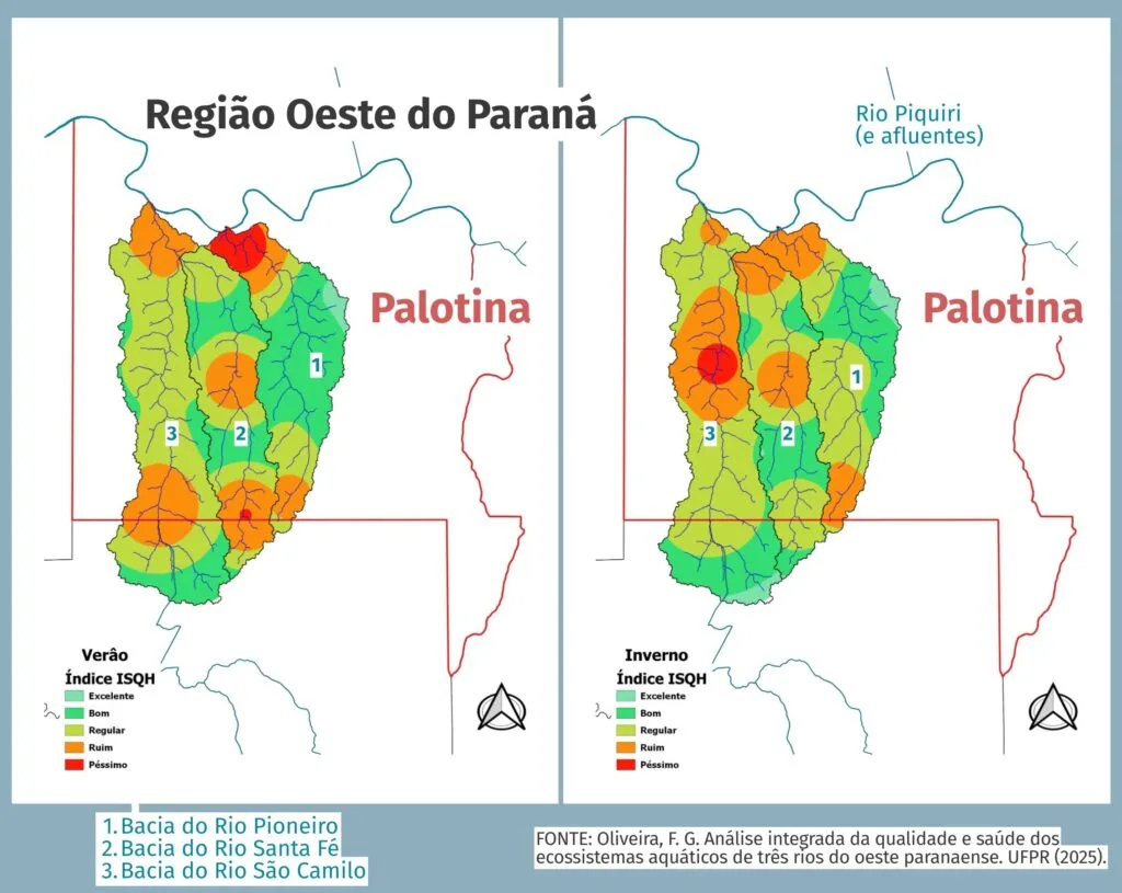 Saúde dos peixes dos rios do Oeste do Paraná acendem alerta de pesquisadores da UFPR