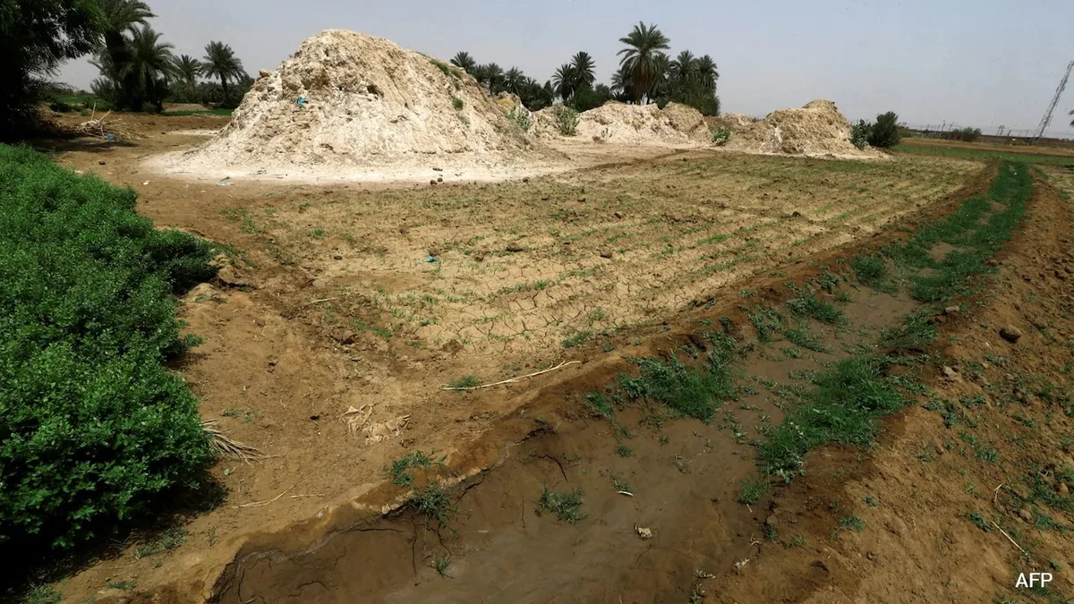 72 Killed In Airstrike On Gold Mine At Sudan-Egypt Disputed Border