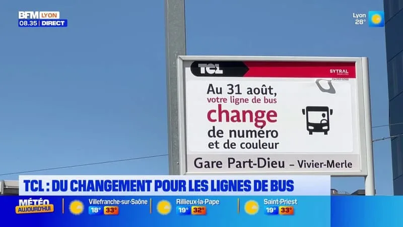 TCL : plusieurs lignes de bus vont changer de numéro à partir du 31 août