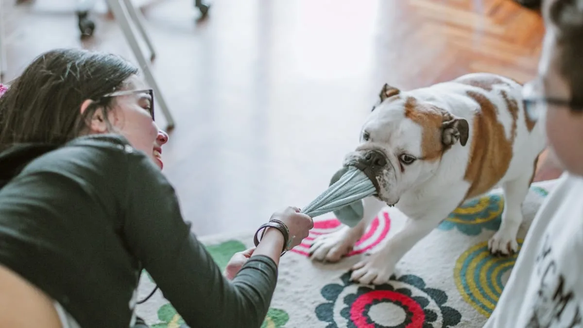 Verhalten erklärt - Darum klaut Ihr Hund gerne Ihre Socken